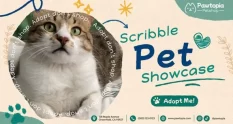 scribble pet showcase promo 16664 cover 1