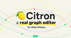Citron The Graph Editor After Effects Should Have Shipped